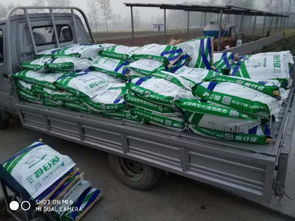 非瘟时代，装卸品质 守护养殖安全的坚实防线