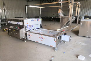 携手增益食品机械厂，探索槽子糕生产机械的革新与搬运解决方案