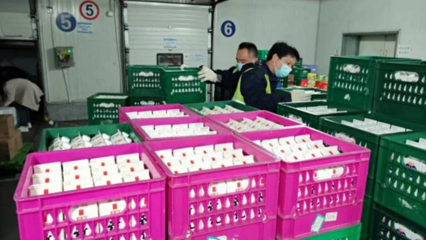 保通稳链物流人 冷链物流筑起“菜篮子”与“粮袋子”的坚实防线